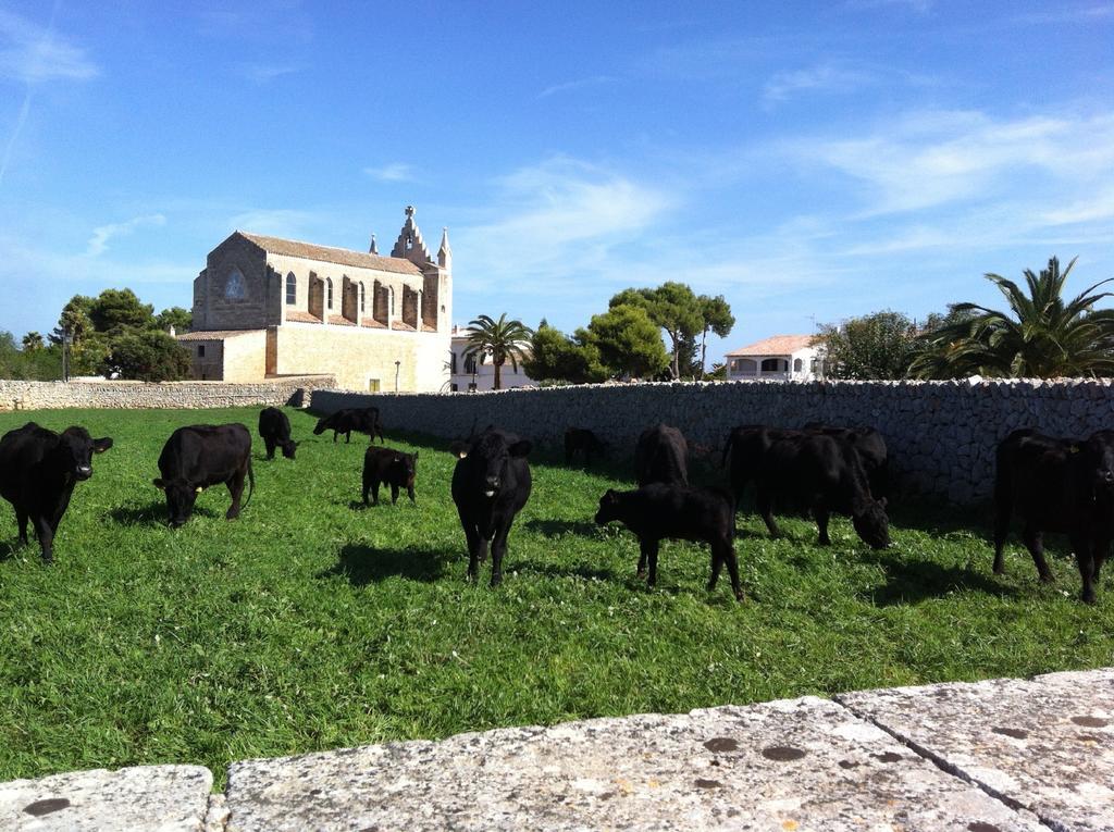 Llucmacanes Gran Agroturismo Mahón Eksteriør billede
